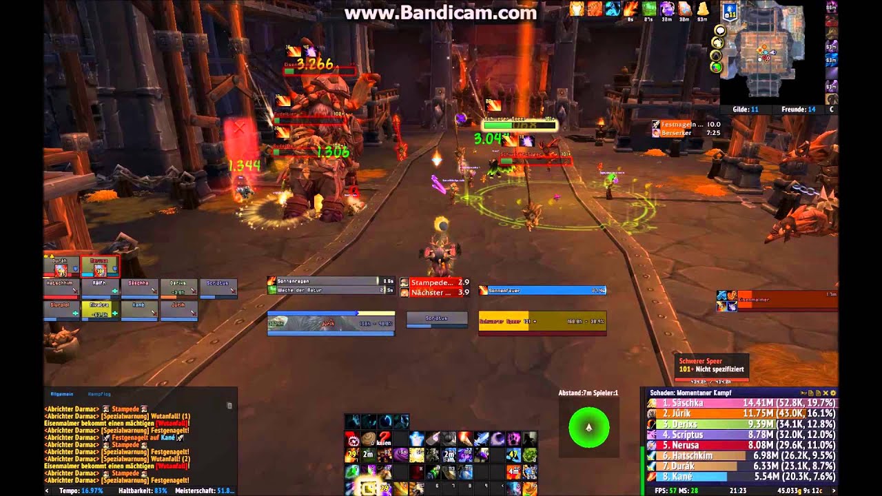 TIY(Trust In You) Bestienmeister Darmac HC Aegwynn EU