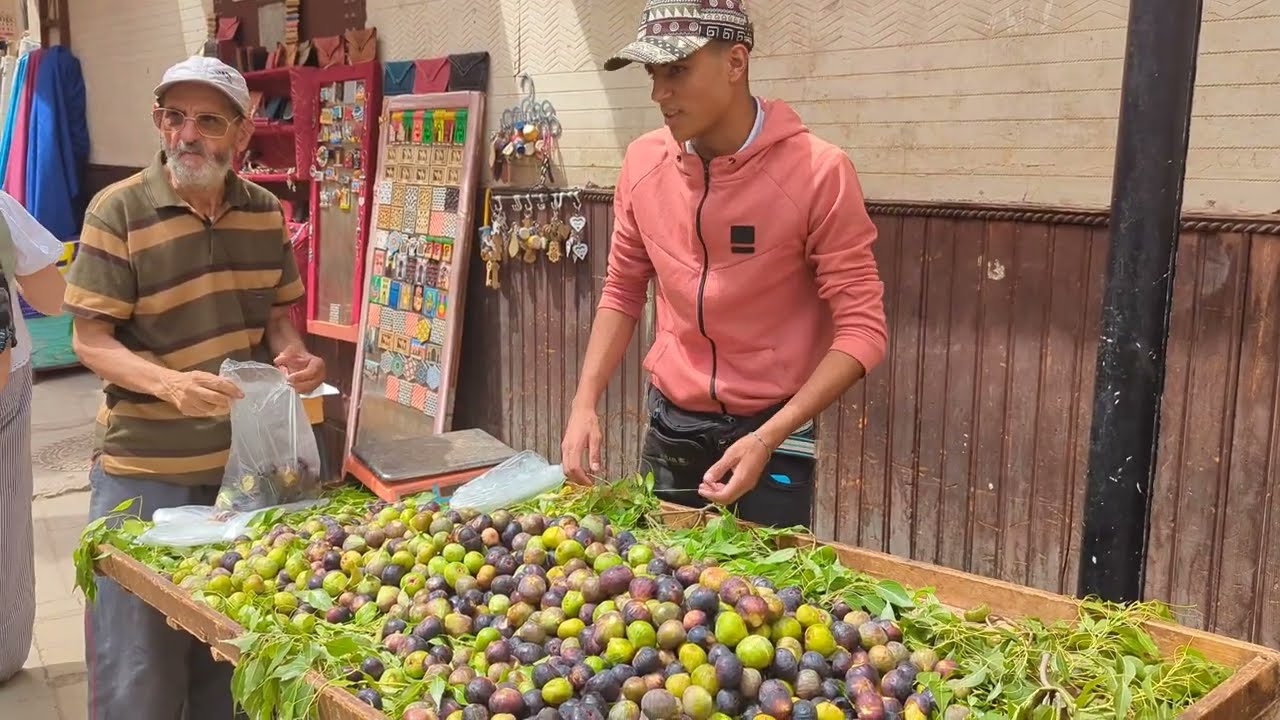 Random clips from Morocco-Egypt (videos)