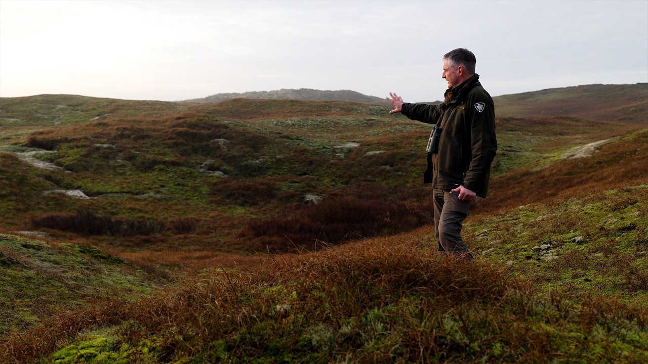 Wildsporen zoeken in de duinen van de Noordduinen