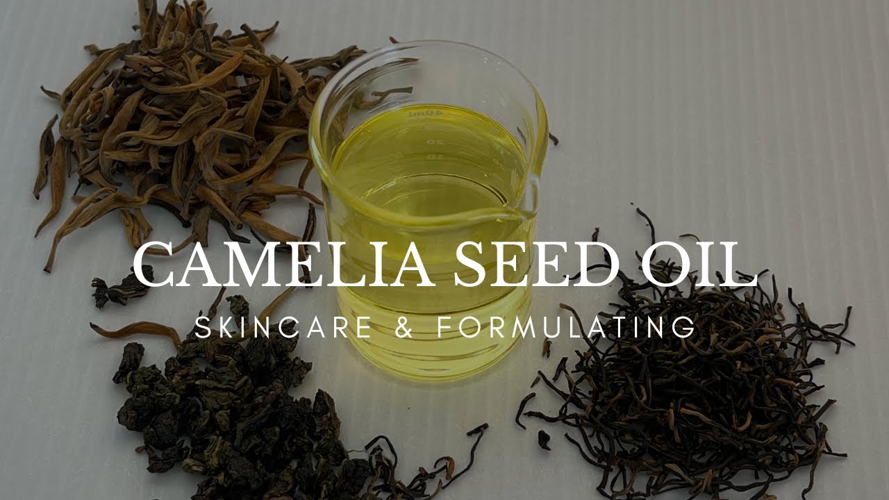 Camellia Seed Oil Skincare Benefits