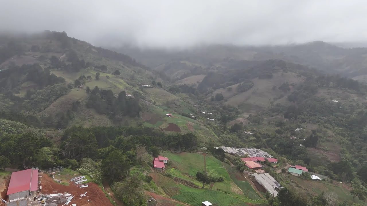 Cloudy Forest of Costa Rica