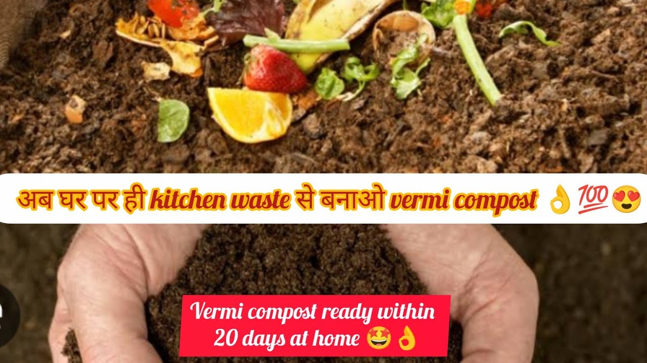 अब घर पर ही kitchen wasteसे बनाओं vermi compost💯😍/vermi compost ready within 20 days 🤩👌