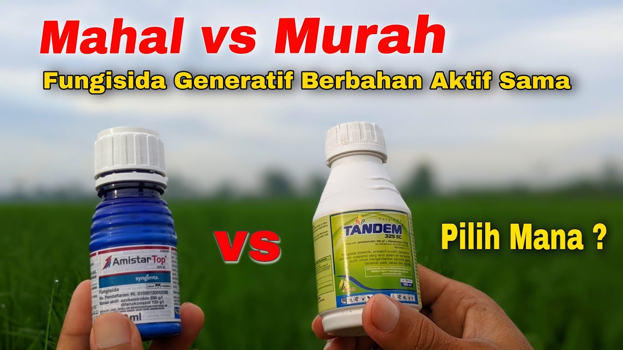 Pilih Mana Mahal vs Murah❗Fungisida Fase Generatif Berbahan Aktif Sama Cara Kerja Sistemik