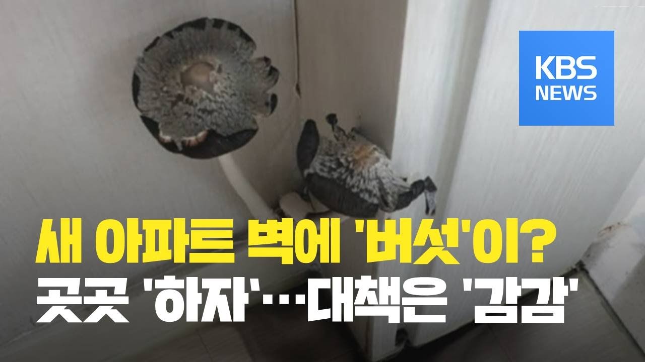 새 아파트 벽에서 버섯이 자란다? 곳곳 하자 ‘부실 공사’ / KBS뉴스(News)