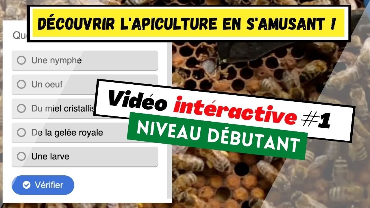 Vidéo intéractive #1 niveau débutant pour apprendre et découvrir l'apiculture en s'amusant !