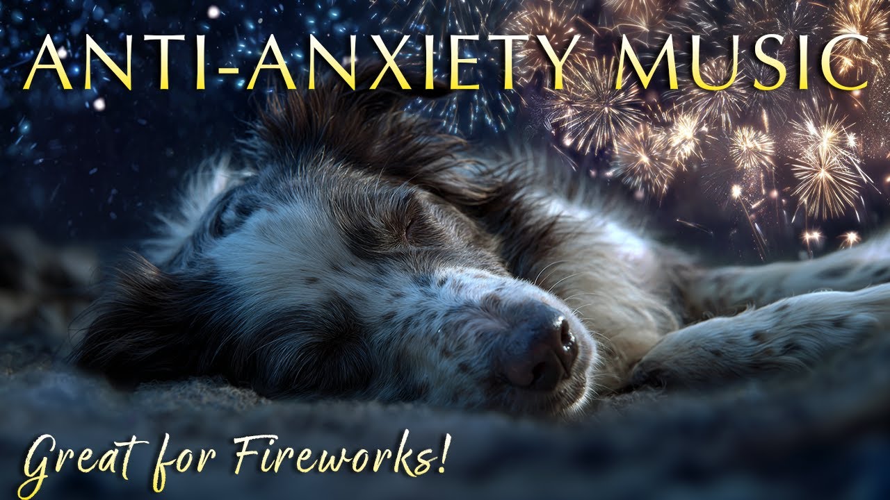 Calm Your Dog During Fireworks 🎆 Soothing Anti-Anxiety Music