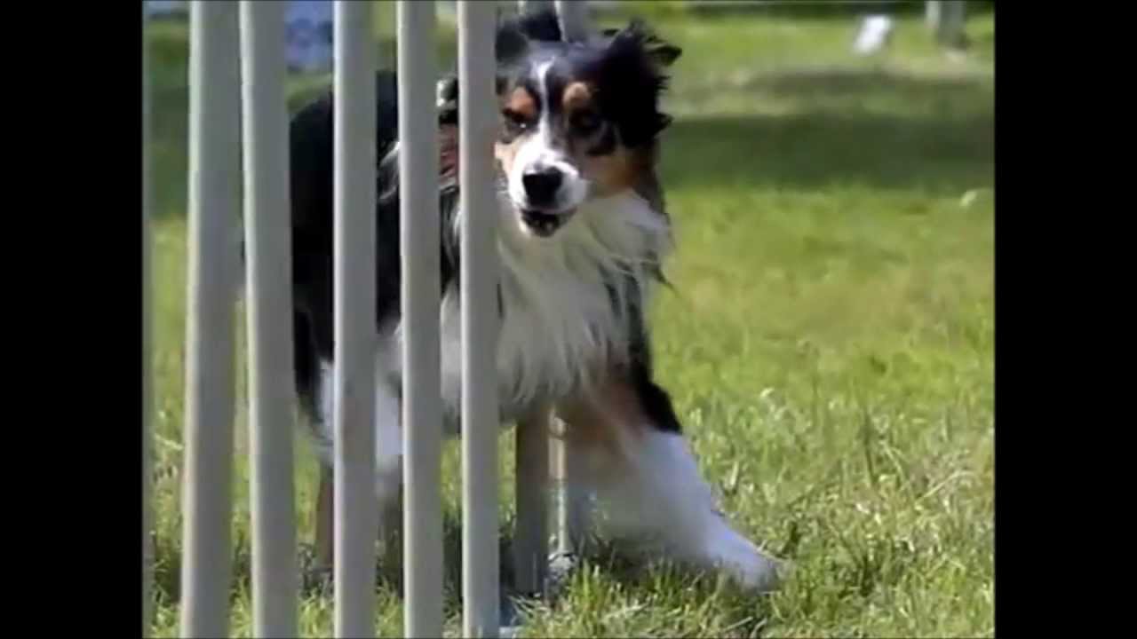 Agility- Can't Hold Us