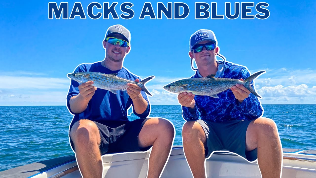 Chesapeake Bay Fishing! Mackerel and Bluefish!
