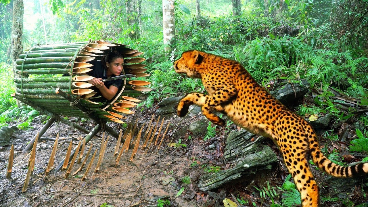 100 Days Surviving in the Wild – Hidden Inside a Rotten Tree Stump & Setting Primitive Leopard Traps