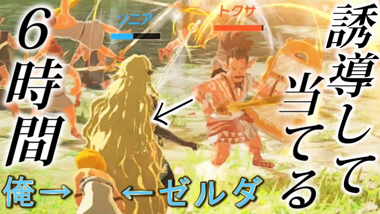 【プレイ時間カンスト】６時間かけて味方のソニアを殺そうとした結果【ゼルダ無双 封印戦記】#剣の鍛錬　#ティアキンに繋がる物語　#検証
