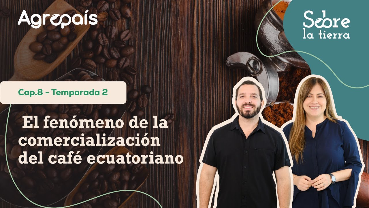 Sobre la tierra Cap 8. Temp 2 - El fenómeno de la comercialización del café ecuatoriano