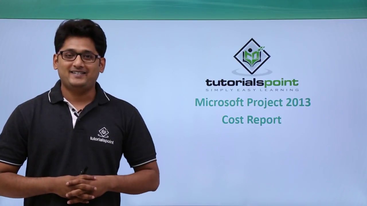 MS Project 2013 - Cost Report