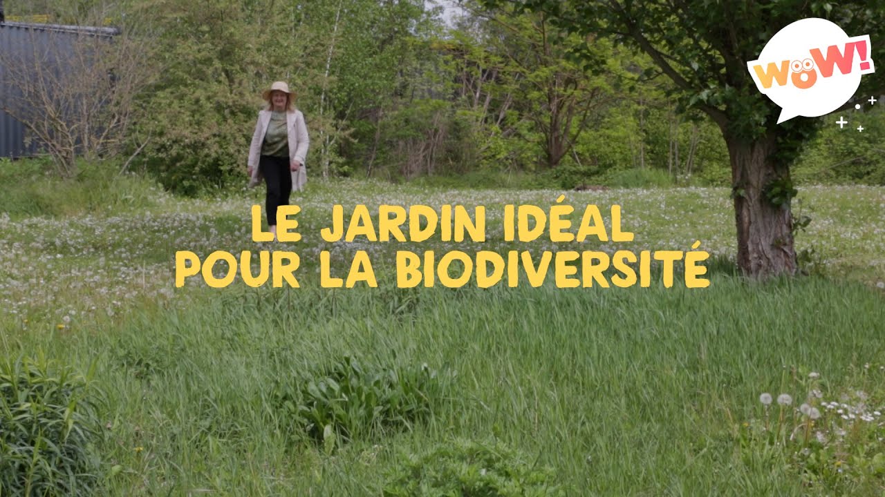 Le jardin idéal pour la biodiversité