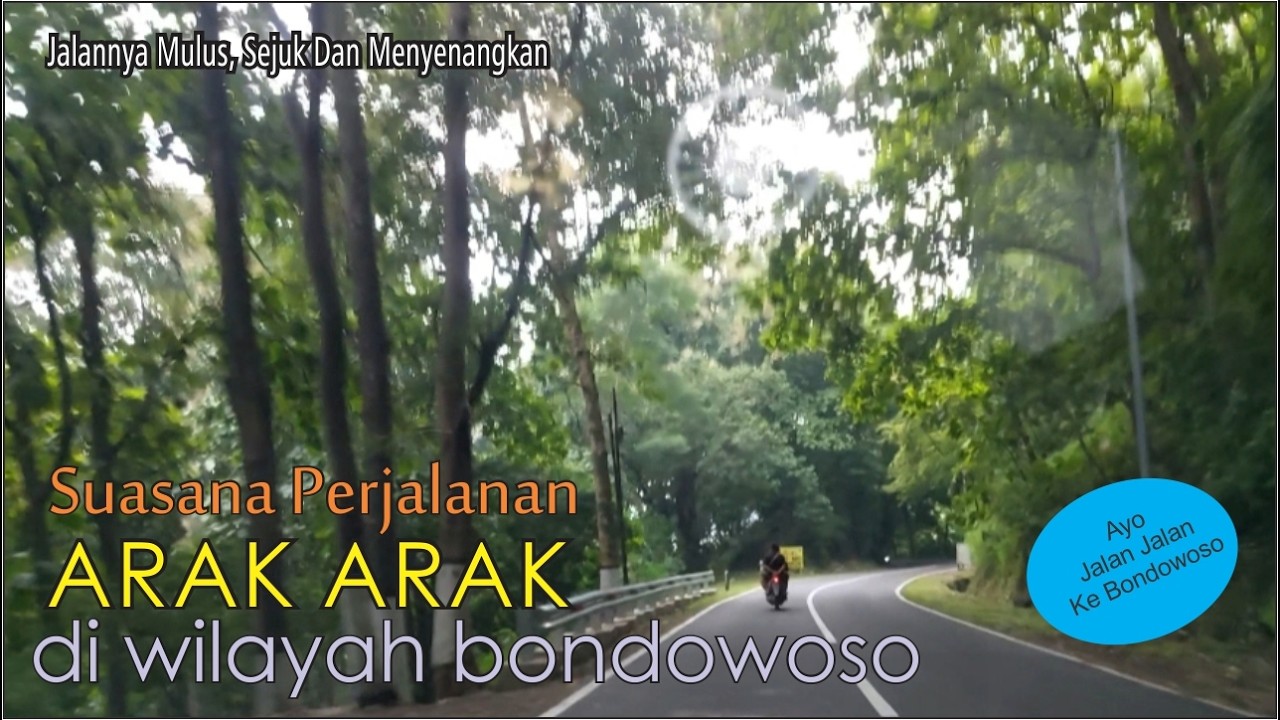 DJ TIKTOK TERBARU 2026 || DJ CINTA DARI SEBERANG 🎵 DJ KATANYA CINTA TAK BUTUH RUPA 🎵 FULL ALBUM❗❗