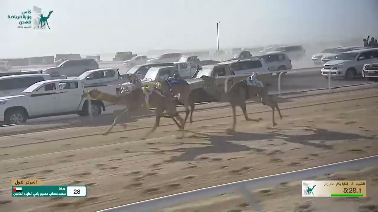 الشوط 3 كأس لقايا بكار عام مساء يوم الاثنين 2-12-2024 من #كأس_وزارة_الرياضة_للهجن