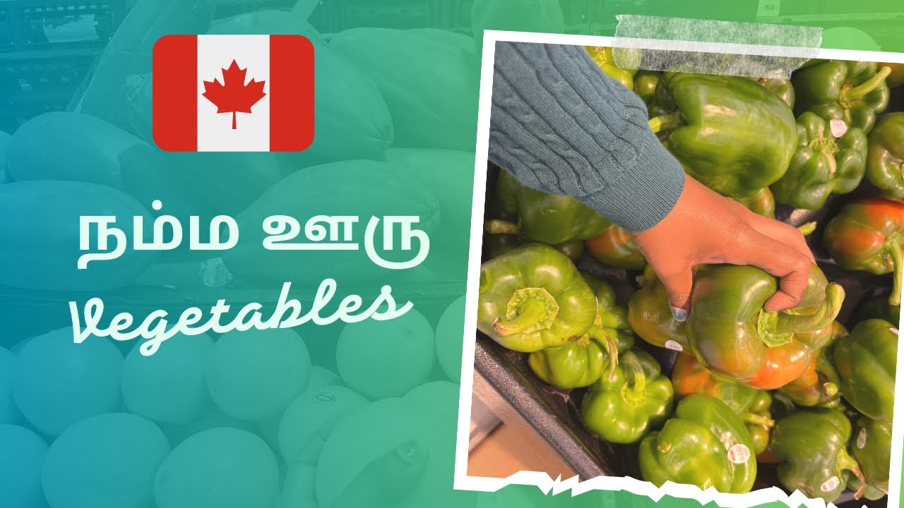 This is How Indian Vegetables Look in Canada (Shocked) #abiumcanadavum #canadalife #canada #metro 