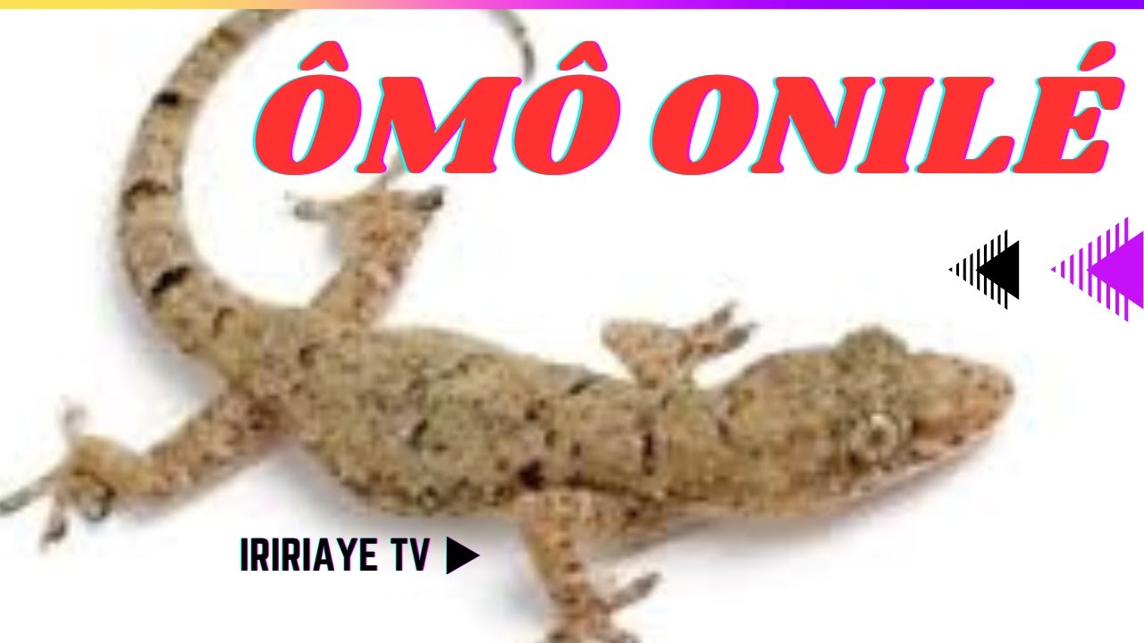 OMO ONILE