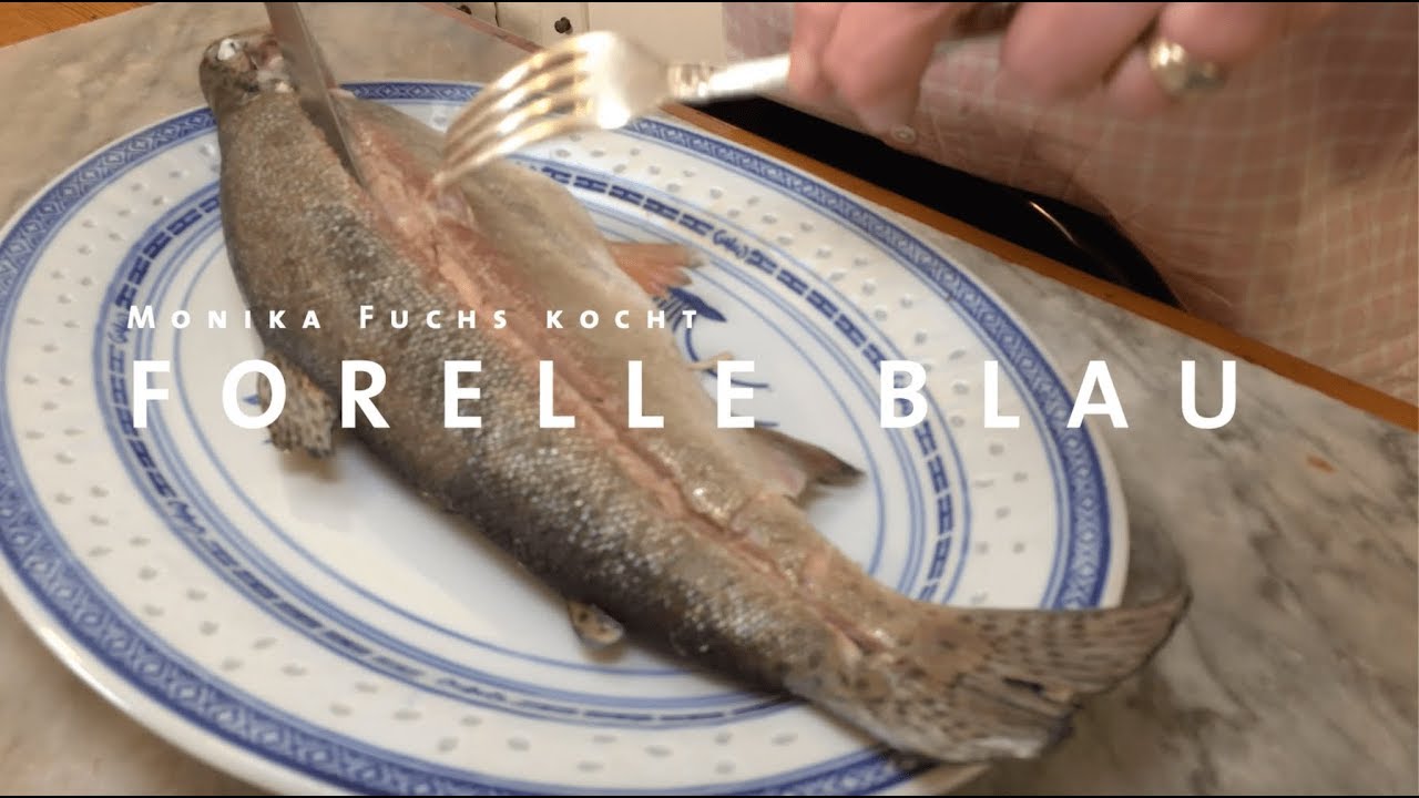 Forelle