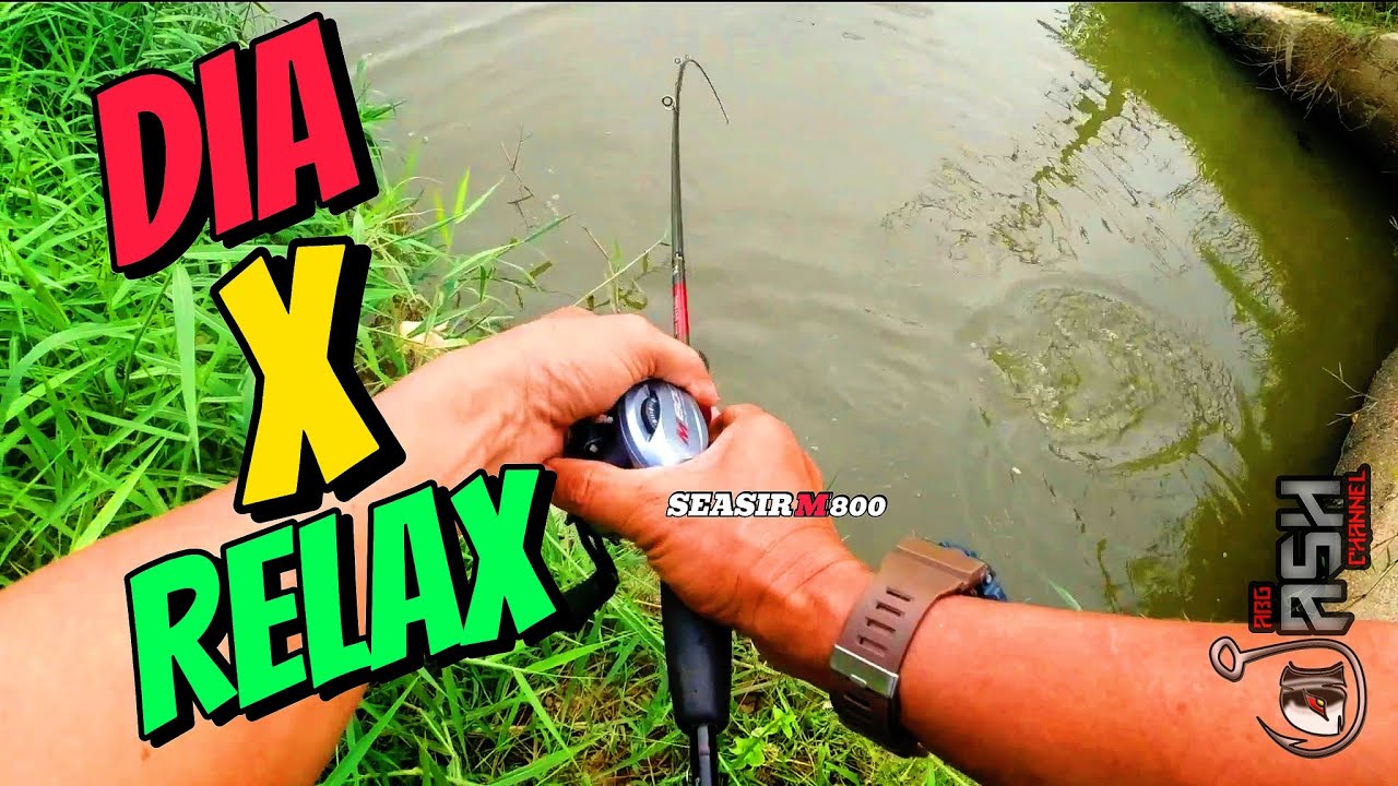 SP SERET DASAR - KETUK DASAR ][ SEASIR M800 SKIPPING TAK BIRD NEST 