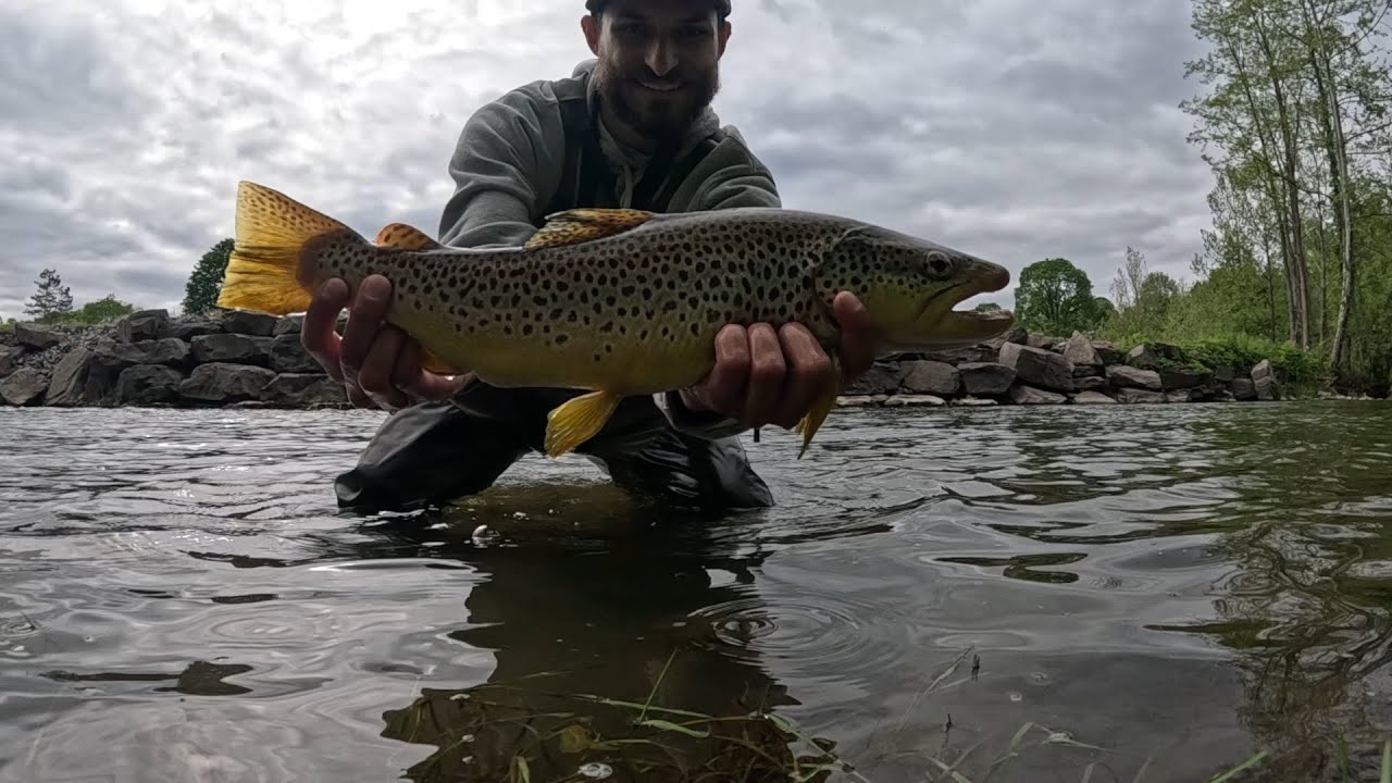 How To Catch TONS Of Trout, Guaranteed, In One Outing! | Fly Fishing, PB Brown!