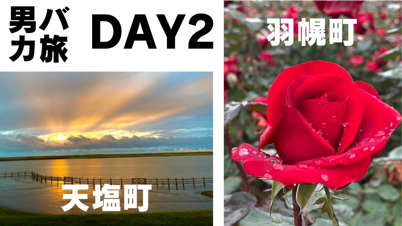 【超穴場】ギリギリ咲いてたバラ園や名前のないNo. 1も登場！【男バカ旅2日目】