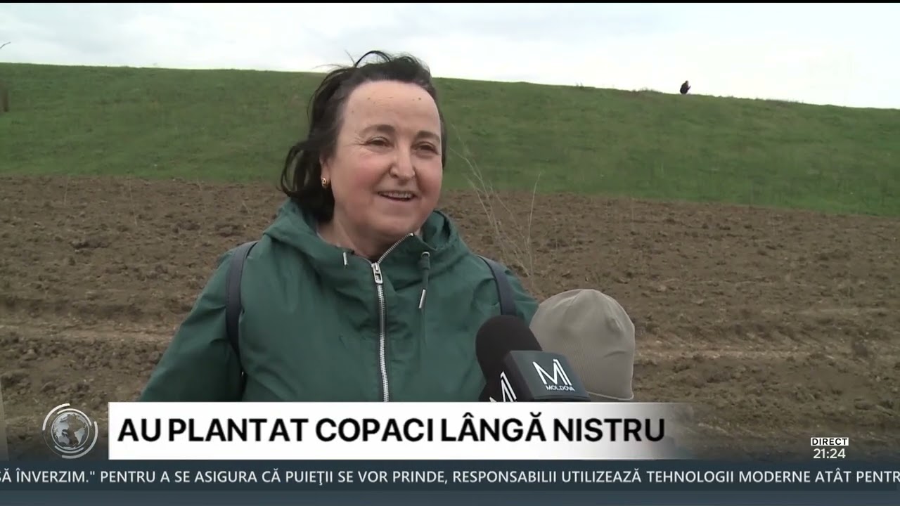 Au plantat copaci lângă Nistru