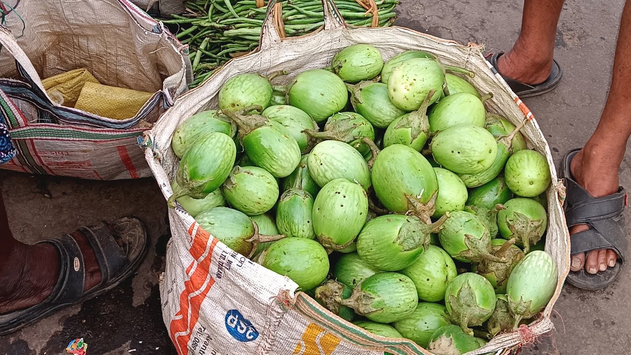 ଜୟ ଜଗନ୍ନାଥ ମହାପ୍ରଭୁ 🙏ସକାଳ ହାଟ ଏ ଠାରେ ସବୁ ପ୍ରକାର ପରିବା ମିଳେ