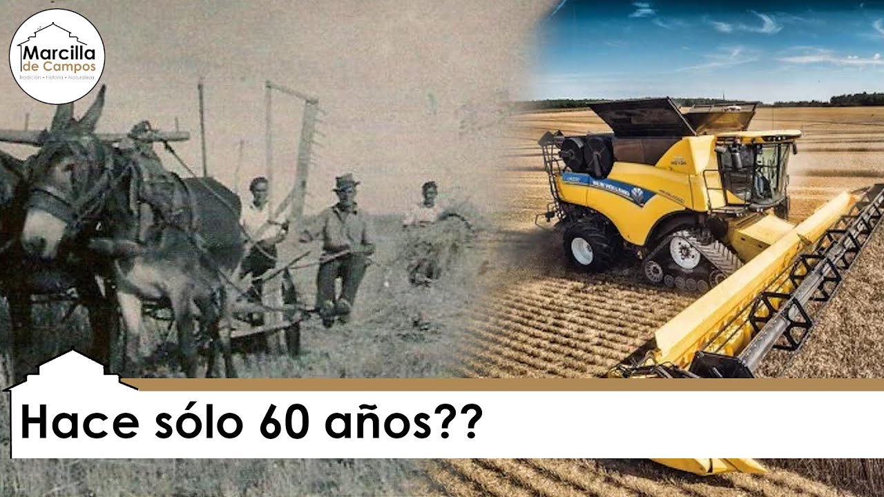 El cultivo del cereal en Castilla y León hace sólo 60 años