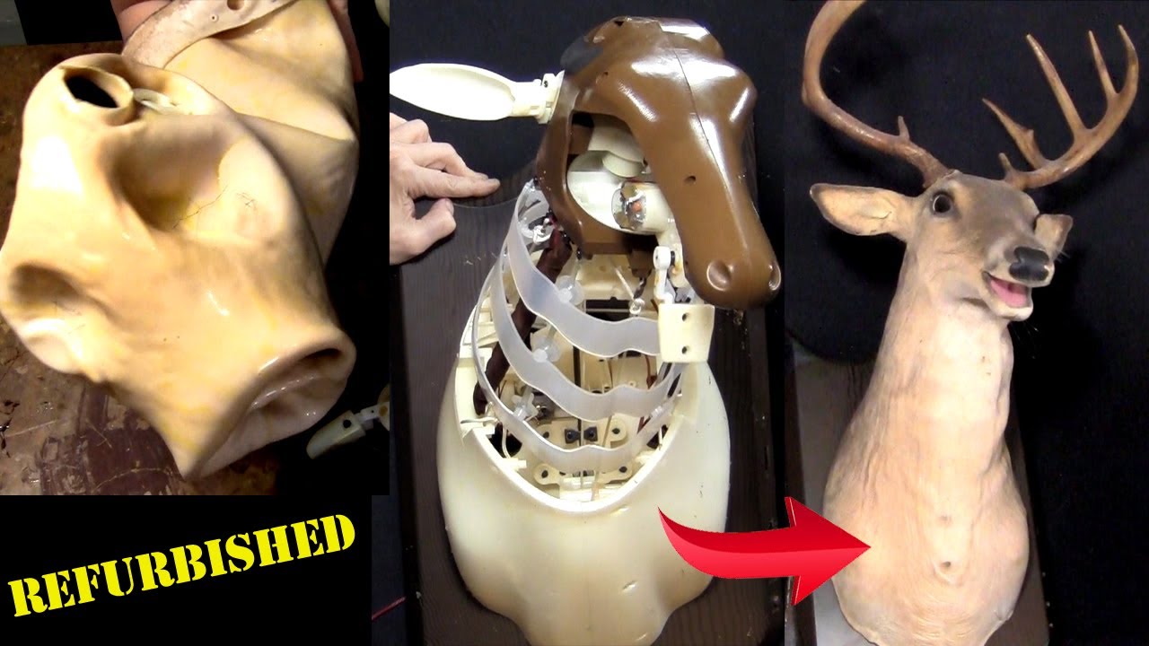Sing Along with Buck Again: Reviving Your Vintage Singing Deer Head!