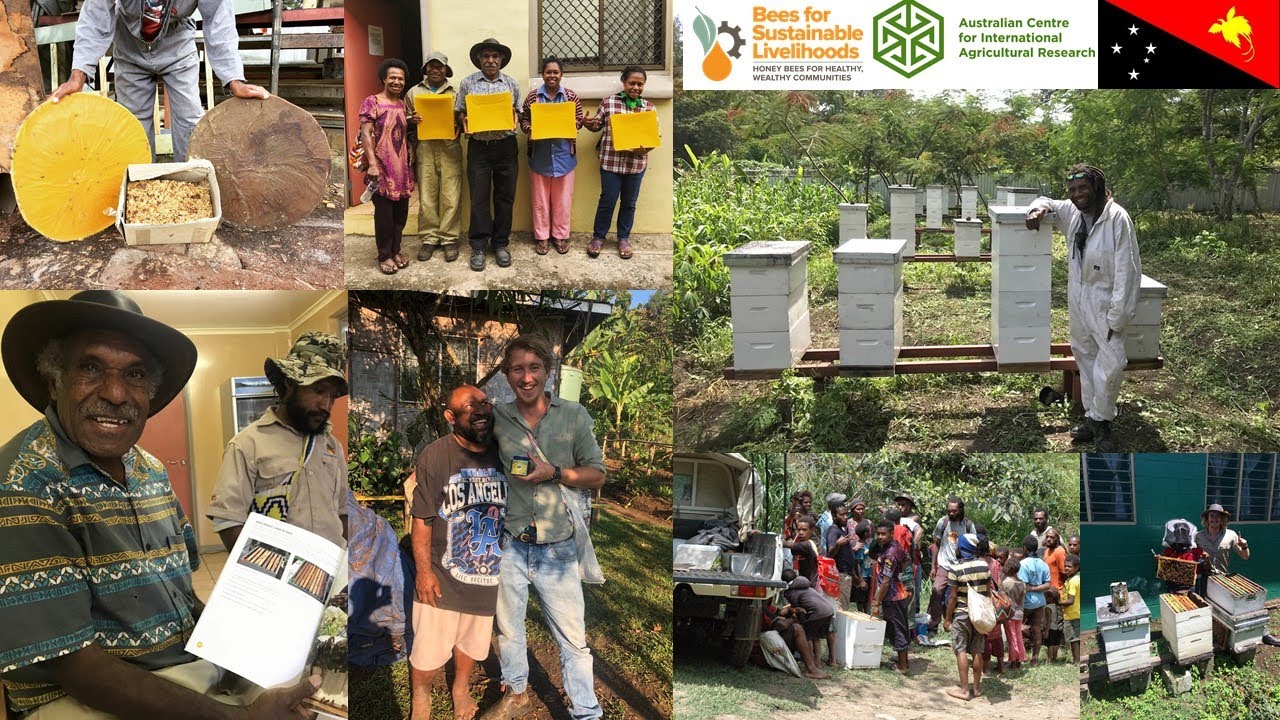 Beekeeping Research and Development in the Pacific - Dr Cooper Schouten