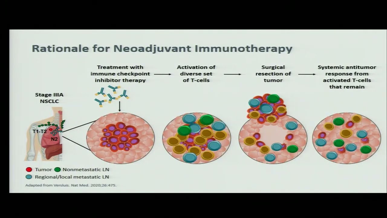 2. Alcances de la inmunoterapia en el cáncer de pulmón. Dr. Oscar Arrieta Rodríguez