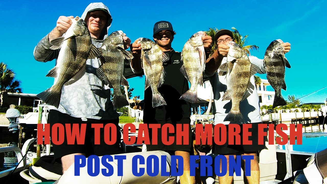 Catch More Fish: POST COLDFRONT