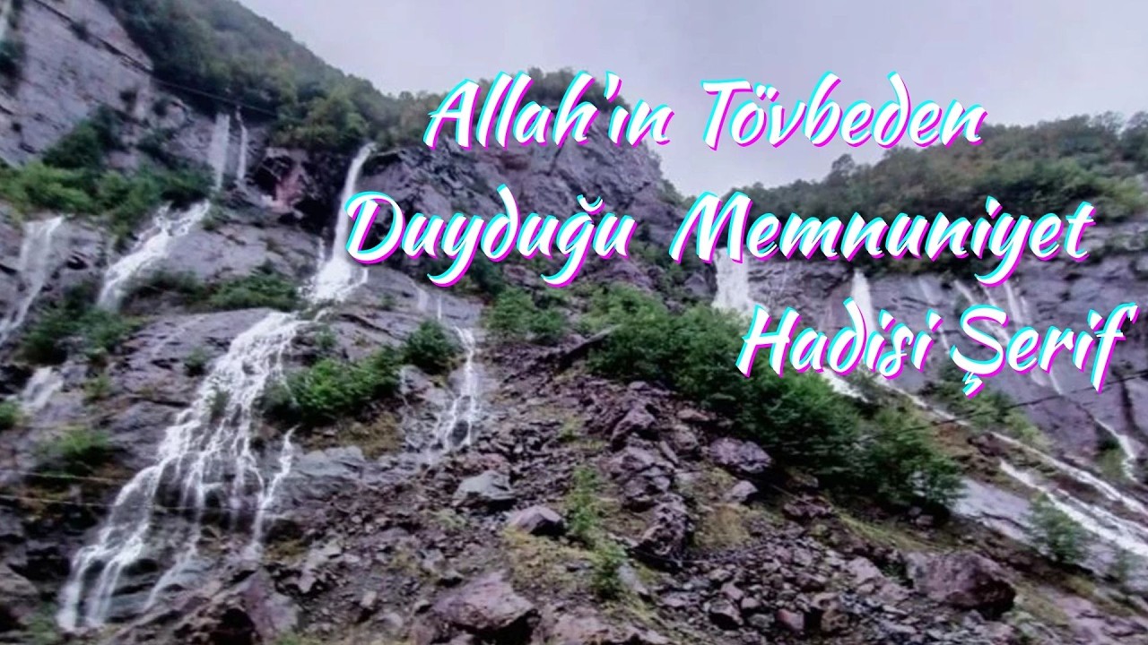 Allah'ın Tövbeden Duyduğu Memnuniyet, Hadisi Şerif