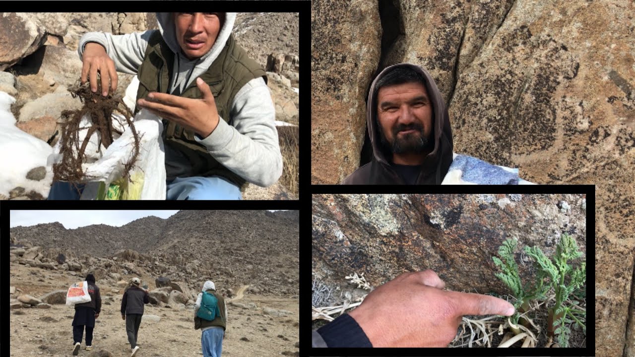 سفر به بام داله انبلاق و کندن راف و نیگره در فصل زمستان 