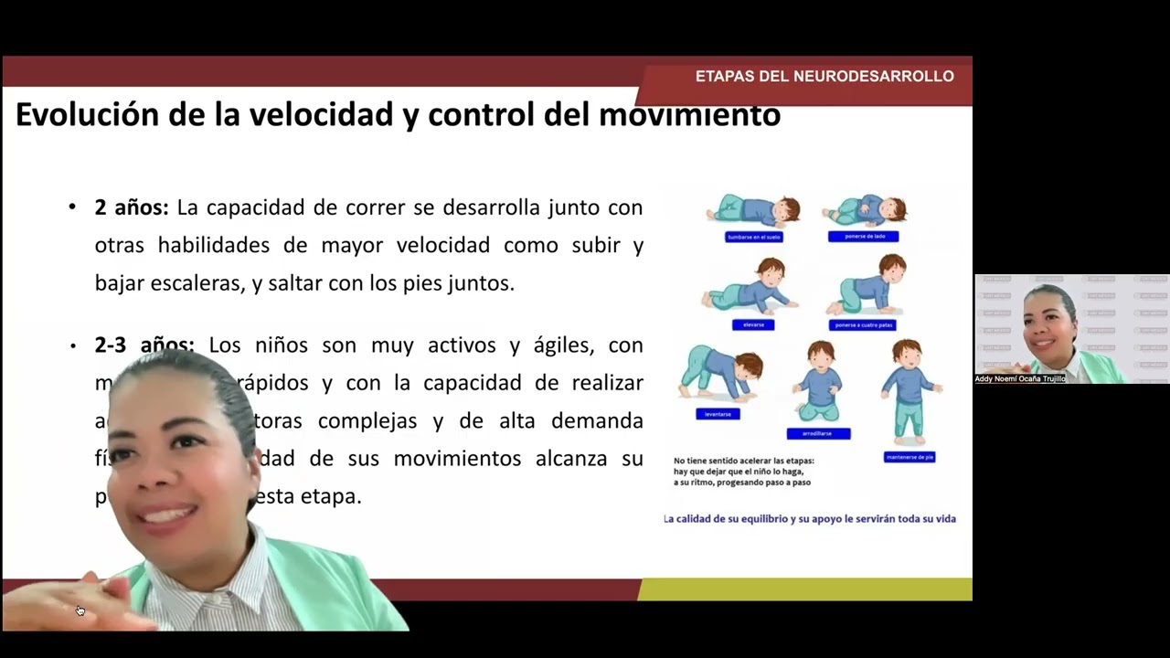 Etapas del Neurodesarrollo 2.2