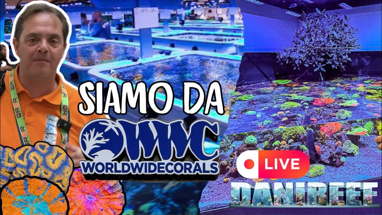 Abbiamo visitato WWC World Wide Corals ad Orlando: Coralli incredibili da infarto, SPS, LPS e molli