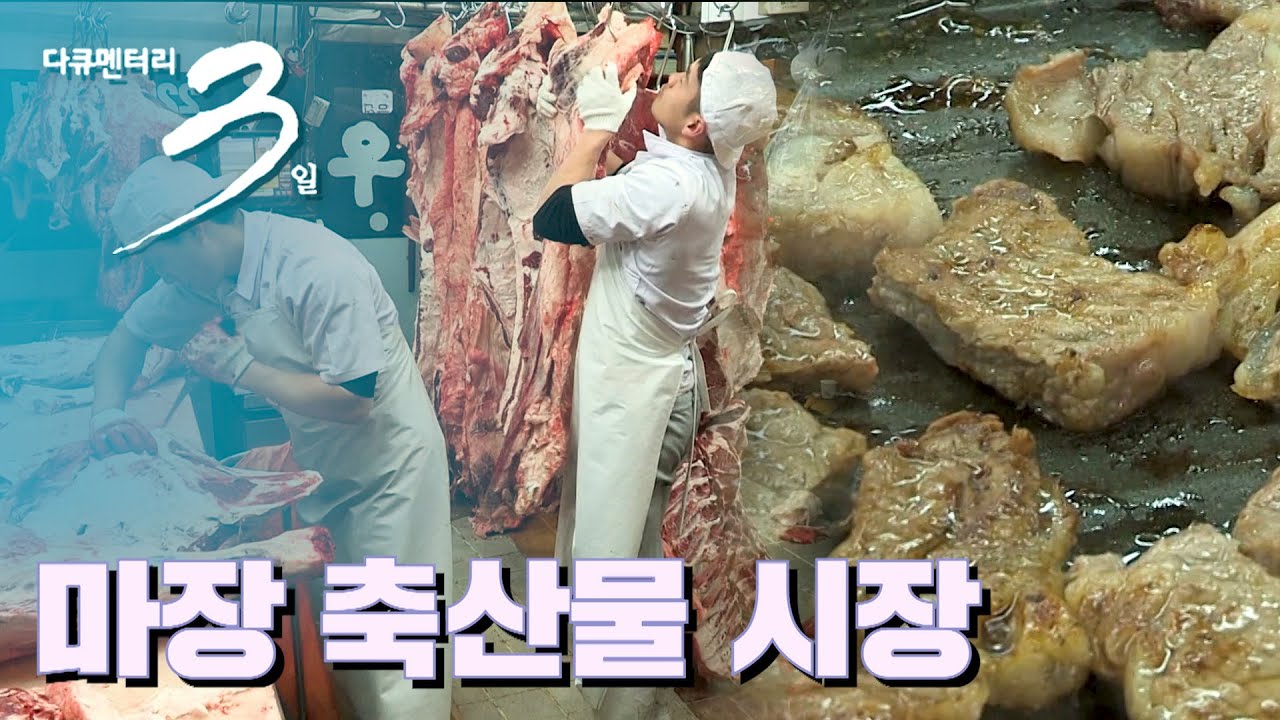 [다큐3일📸] 반세기 인생을 품은 서울의 푸줏간, 서울 마장 축산물 시장 72시간 | KBS 2015.04.26 방송