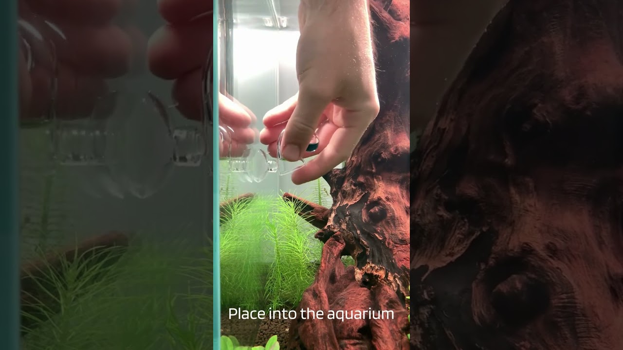 AquaLabs Drop Checker and Solution #aquarium #aquascaping #plantedaquarium #aquascape