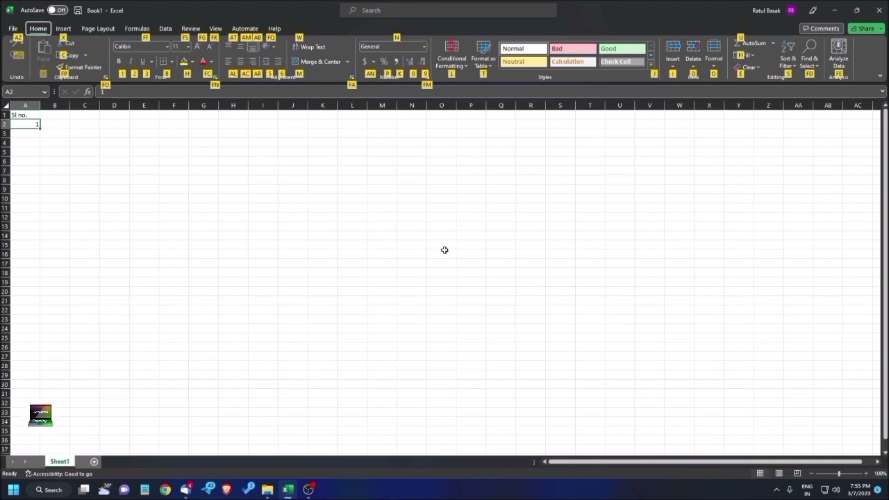 Advance Excel 22 | Write Automatically Serial Number Using Field Series With Screen Reader