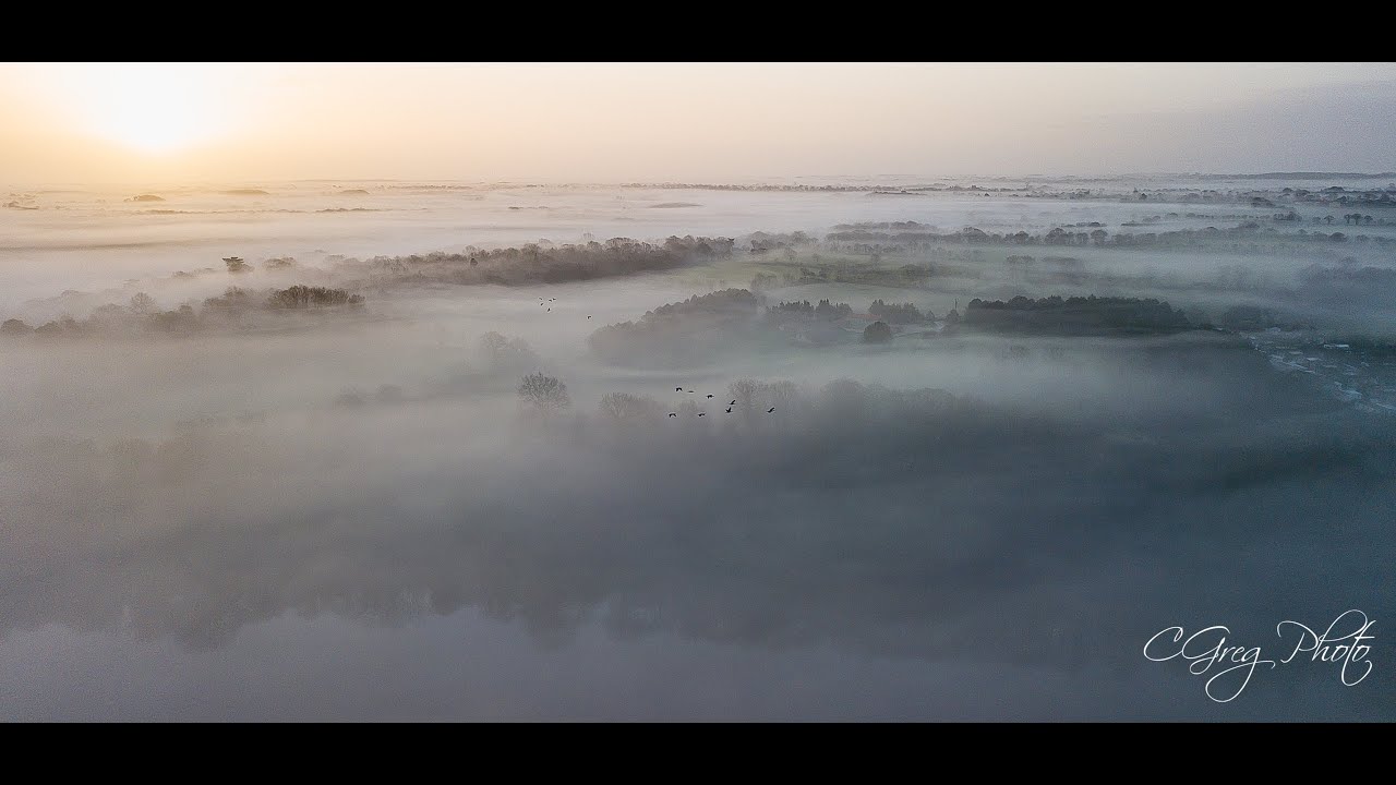 la tête dans la brume
