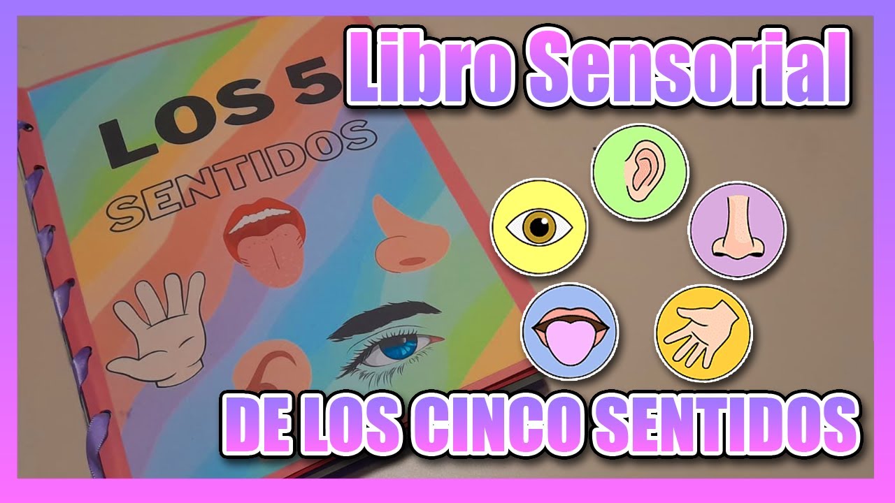 Como Hacer Un Libro Sensorial De los 5 Sentidos 👀👅👂🖐️👃