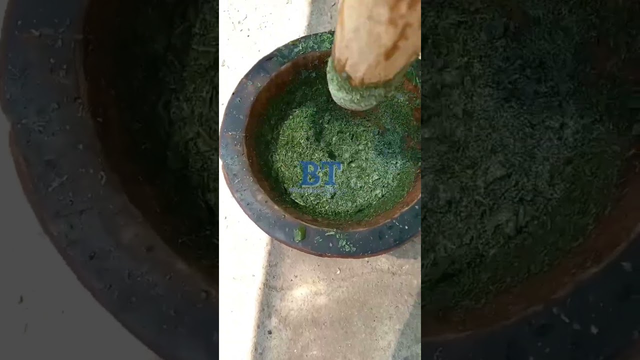 CASSAVA LEAVES CONGOLAISE 🇨🇩 VEGETABLES 