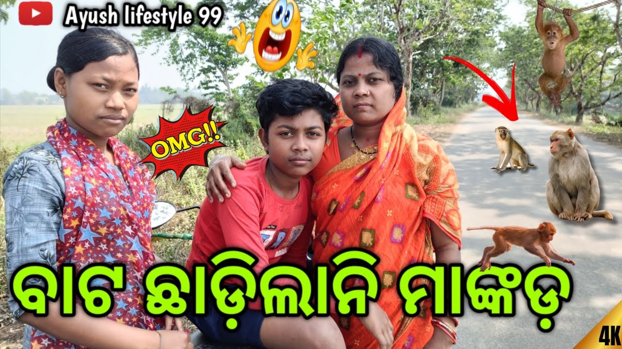 ବାଟ ଛାଡ଼ିଲାନି ମାଙ୍କଡ଼ 😱 || Ayush Lifestyle 99 || ODIA VLOG 