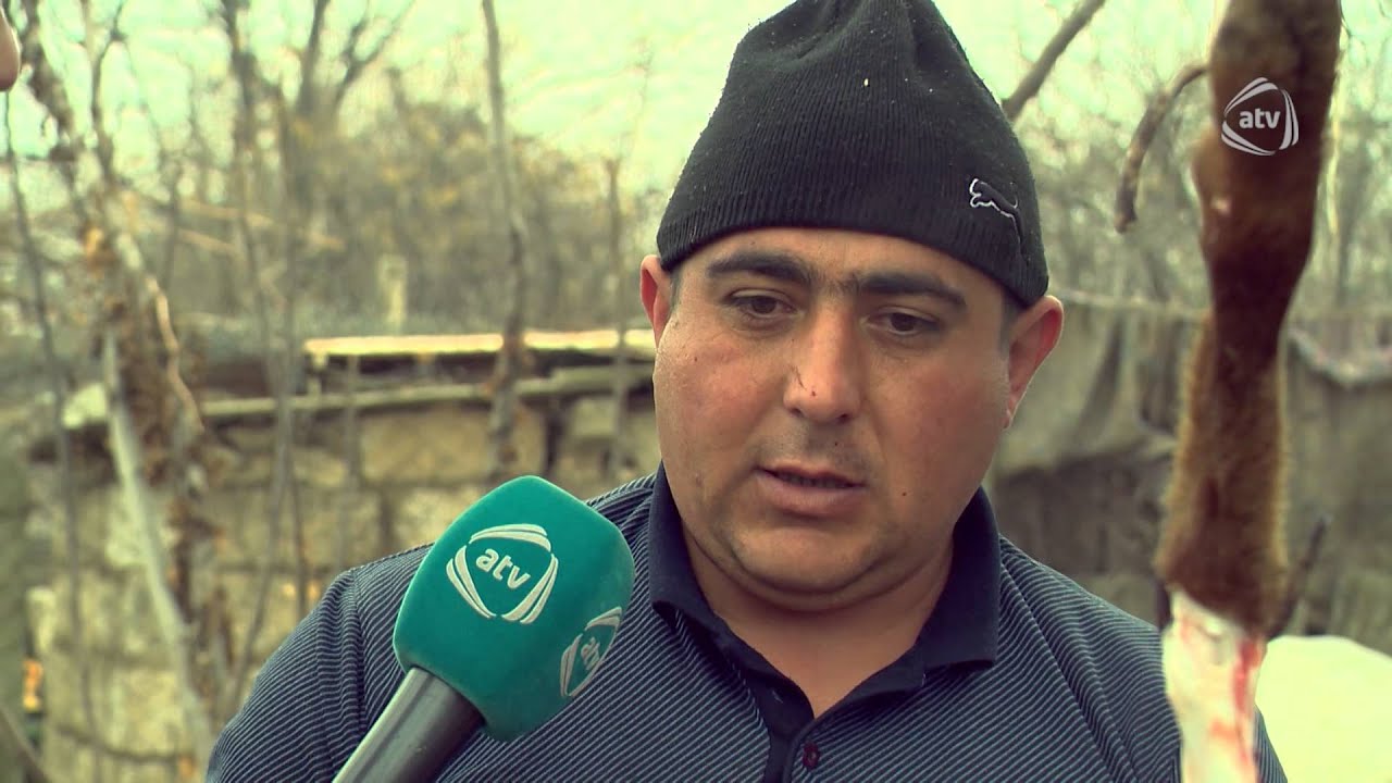 Toy əhvalatı - Qazax (21.02.16)