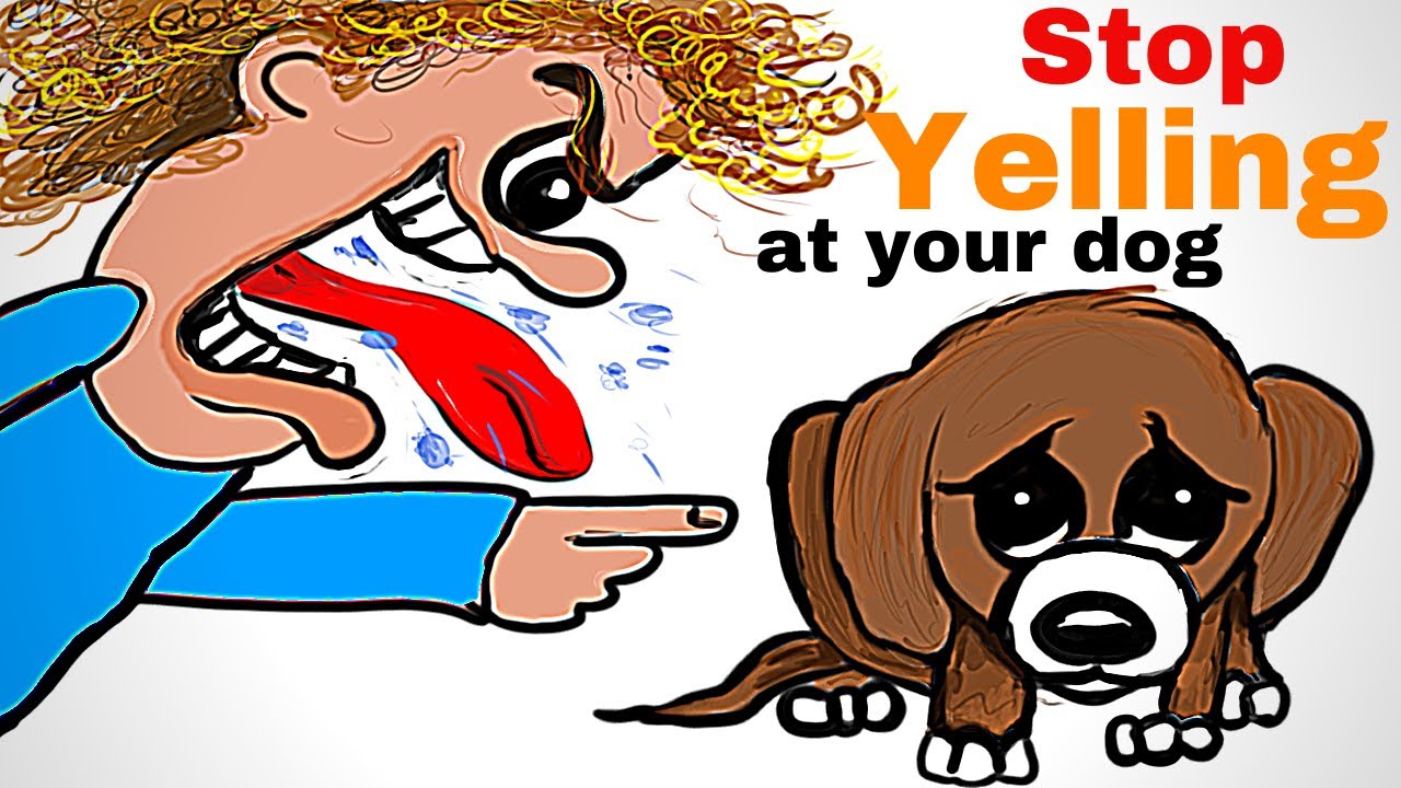 You MUST Stop Yelling at Your Dog!