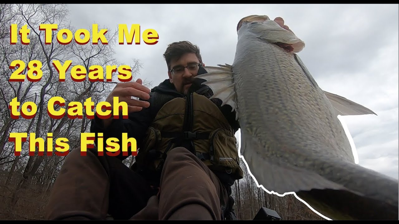 A monster fish, finally! April, Lake Arthur, PA