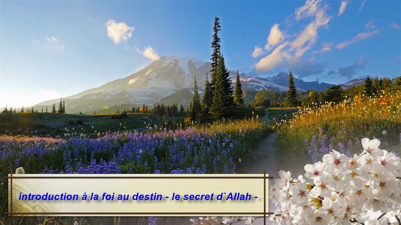 introduction à la foi au destin, le secret d`Allah - Abdelmalik Abou Adam -