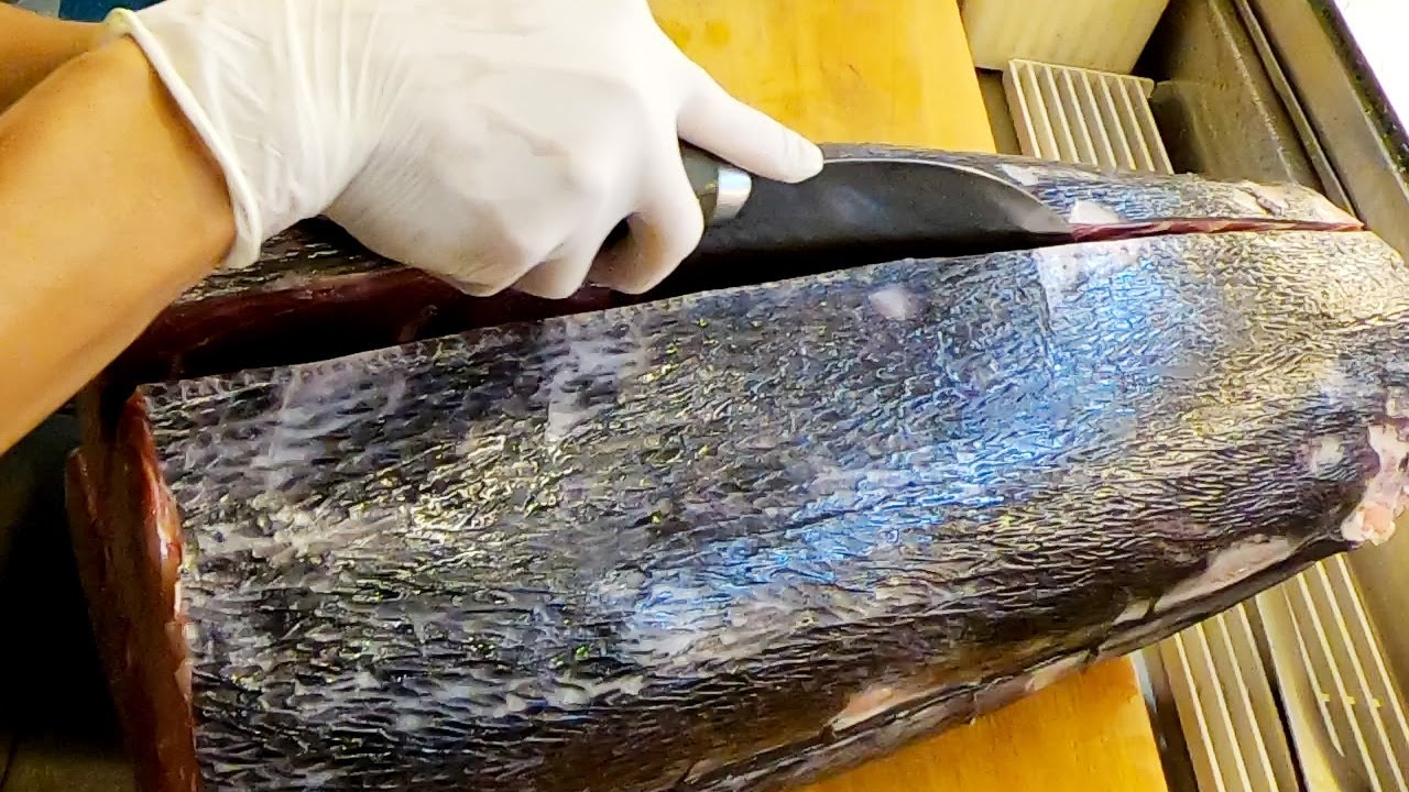 Swordfish Cutting