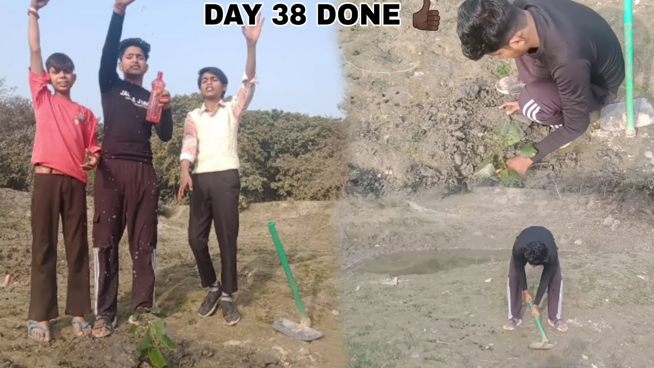 🌳DAY 38 AQI LEVEL FOR DELHI PLEASE HELP THIS MY WORK ....🌲