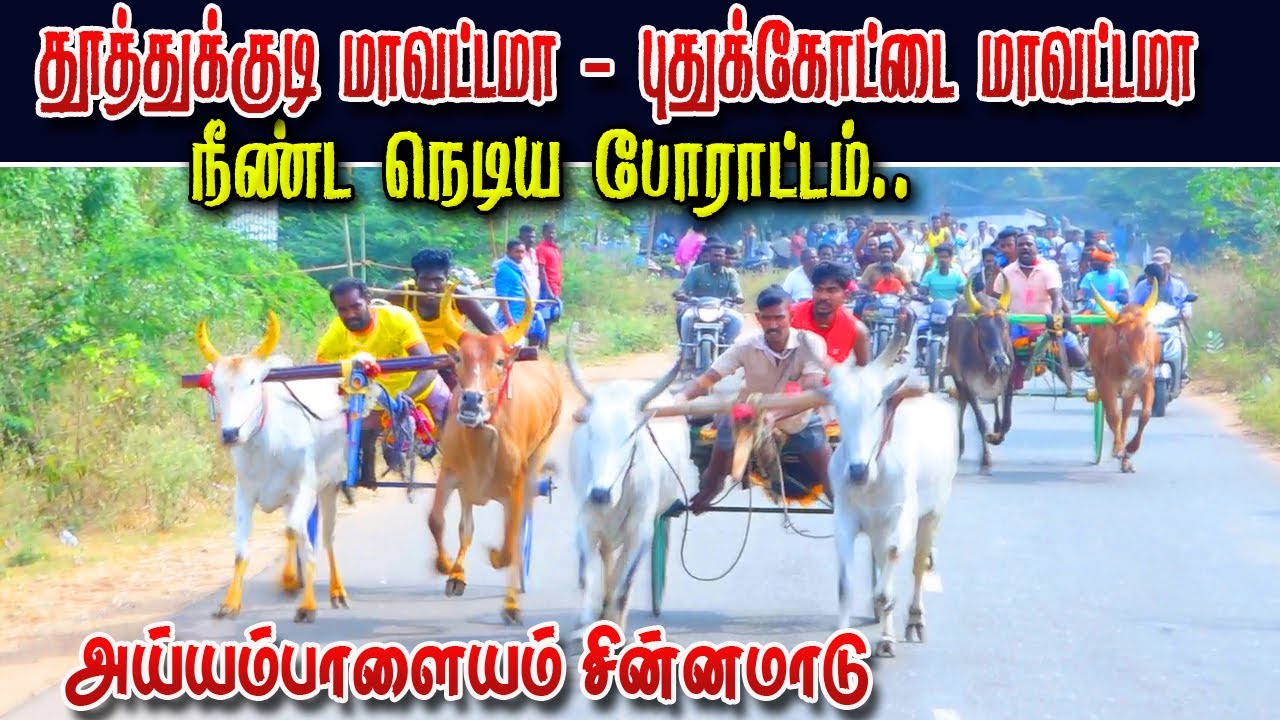 அய்யம்பாளையம் சின்னமாடு திண்டுக்கல் மா 22/01/2023 ayyampalayam chinna ksk rekla race today rekla